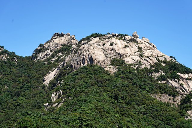 b-DSC01781.JPG