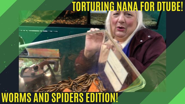 torturefordtubegrannyWORMSANDSPIDERSEDITIONmainimage.jpg