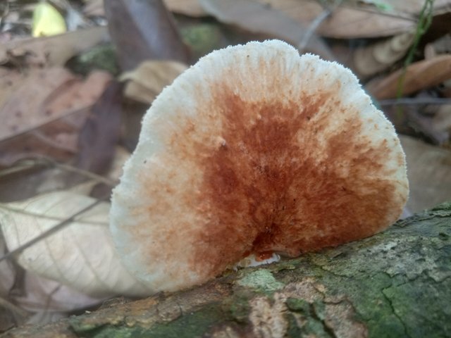 IMG20220306141639.jpg