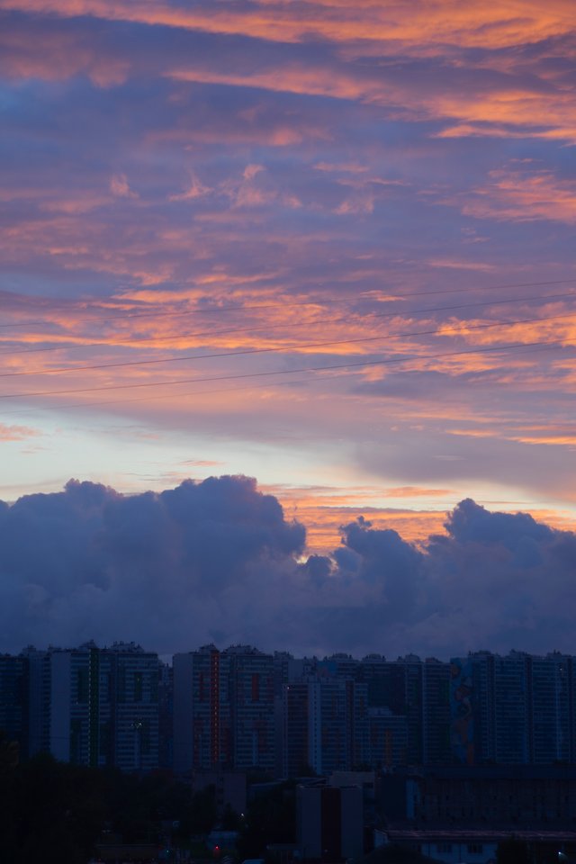 DSC05729.jpg