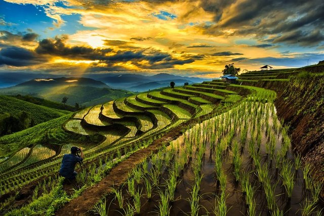 Longsheng-Rice-Terrace-China.jpg