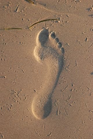 footprint-3047825__480.jpg
