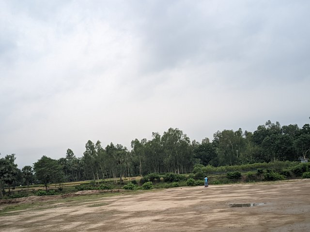 1000006205.jpg