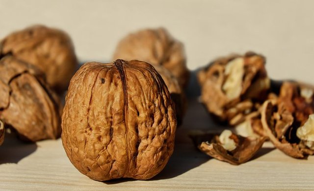 walnut-1739021__480.jpg