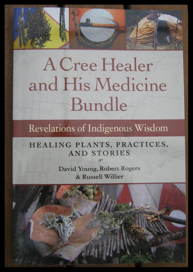 cover A Cree Healer and His Medicine Bundle.JPG