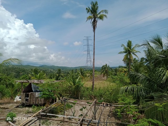 IMG20211002111552.jpg