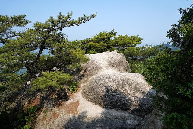 b-DSC01814.JPG