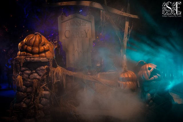 HHN-2018 (5).jpg