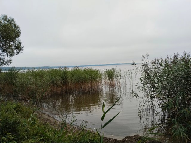 IMG_20250831_160401.jpg
