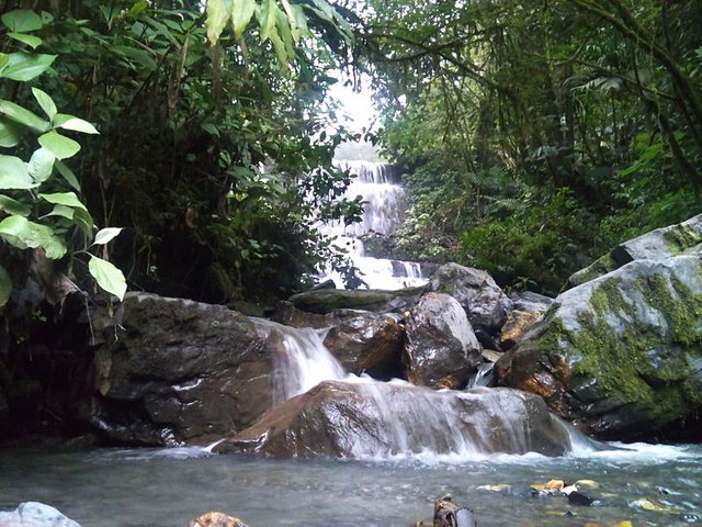 Parque_nacional_yacambu_cascada_el_blanquito.jpg