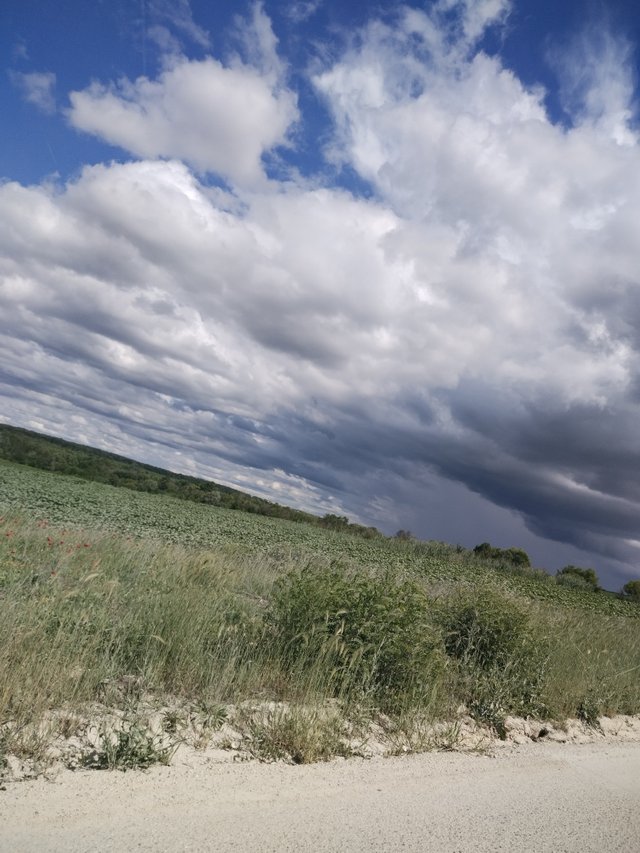 IMG_20250530_161051_HDR.jpg