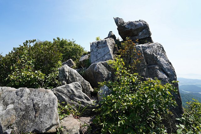 b-DSC08296.JPG