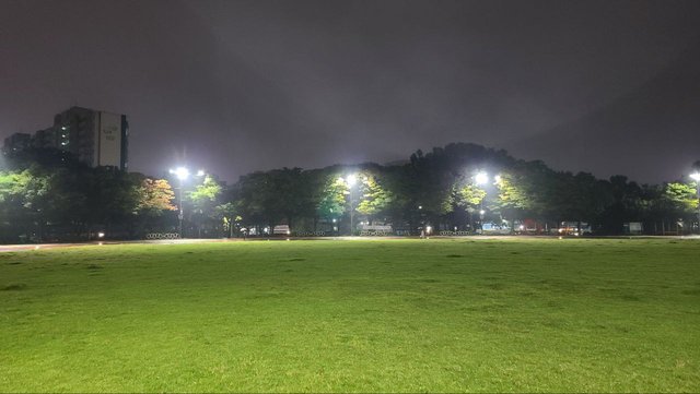 IMAGE 2025-10-23 02:26:30.jpg