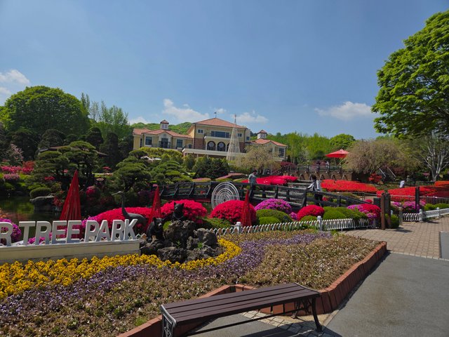 20250428_110221.jpg