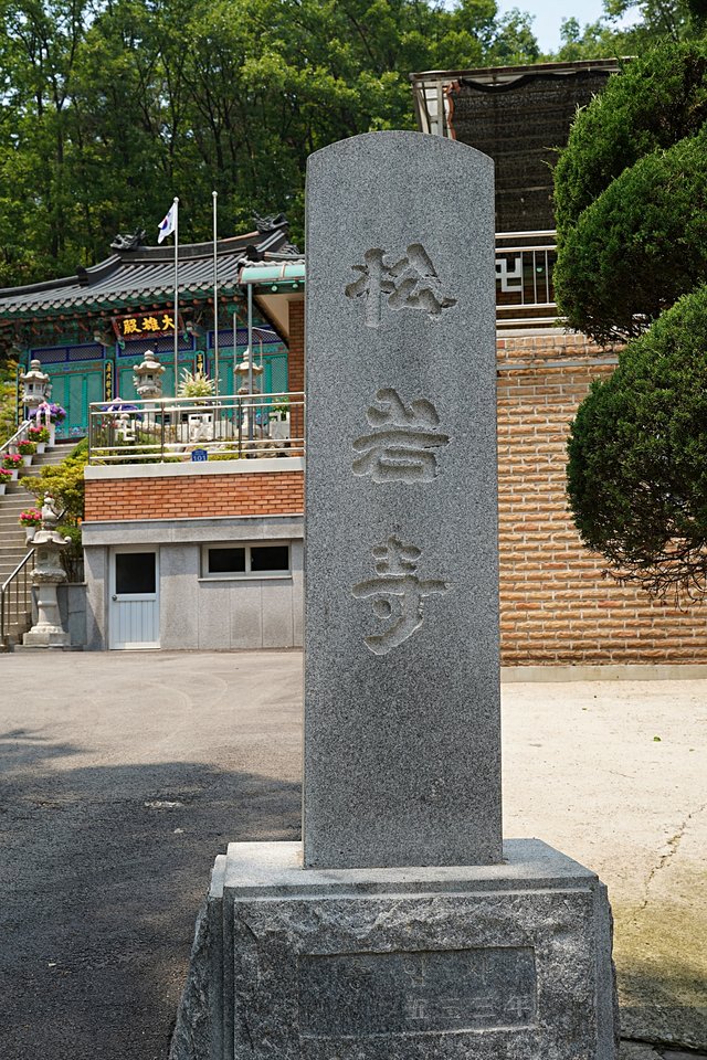 b-DSC02621.JPG