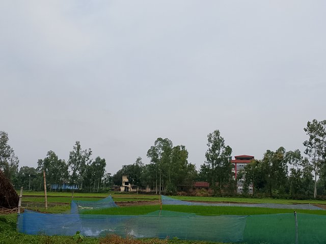 1000045307.jpg