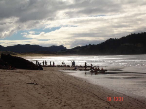 hotwater beach.jpg