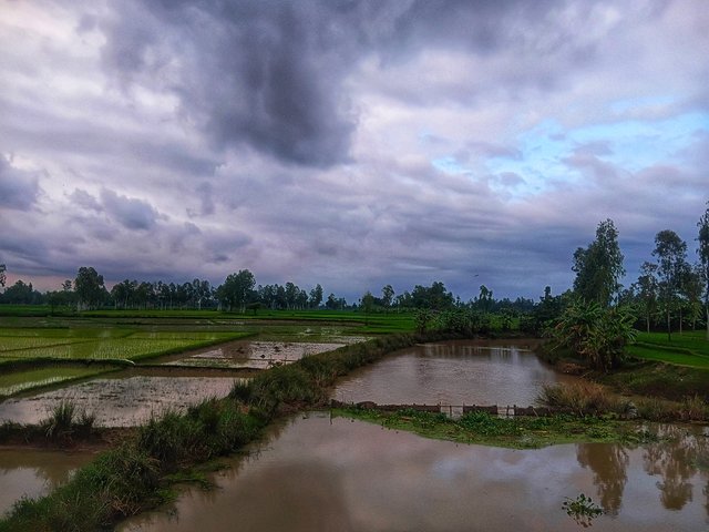 5215.jpg