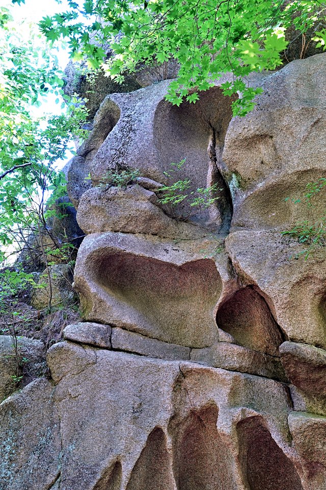 b-DSC09004.JPG