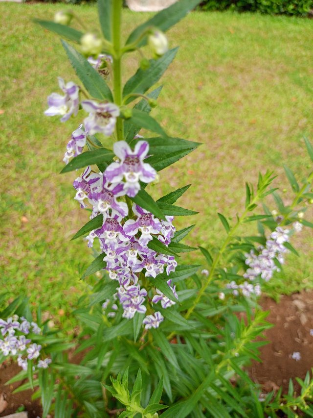 IMG20250404095743.jpg