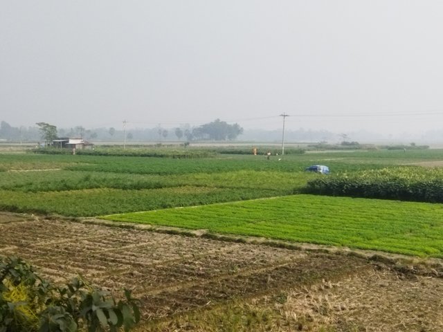 IMG_20241222_121817.jpg