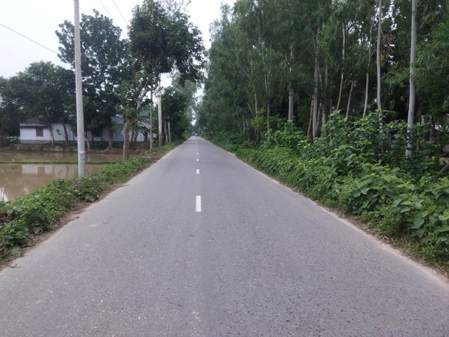 IMG_20250722_184613.jpg