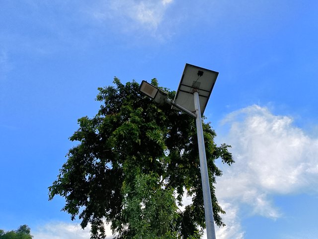 1000043116.jpg