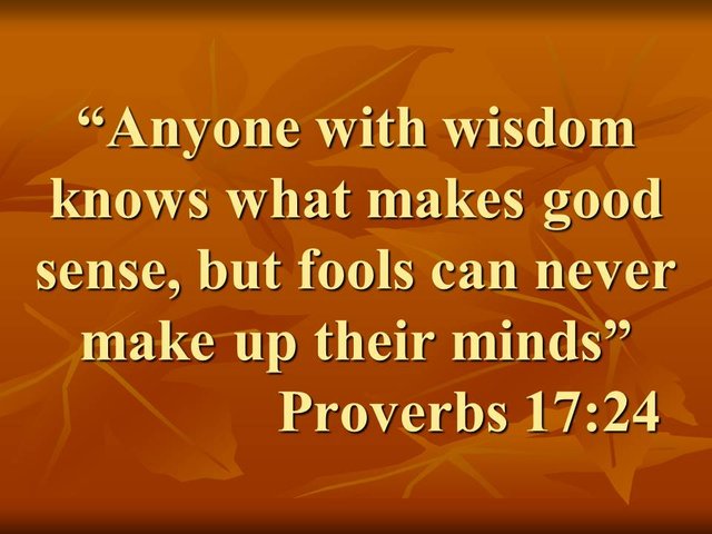 The importance of knowledge. Anyone with wisdom knows what makes good sense, but fools can never make up their minds. Proverbs 17,24.jpg