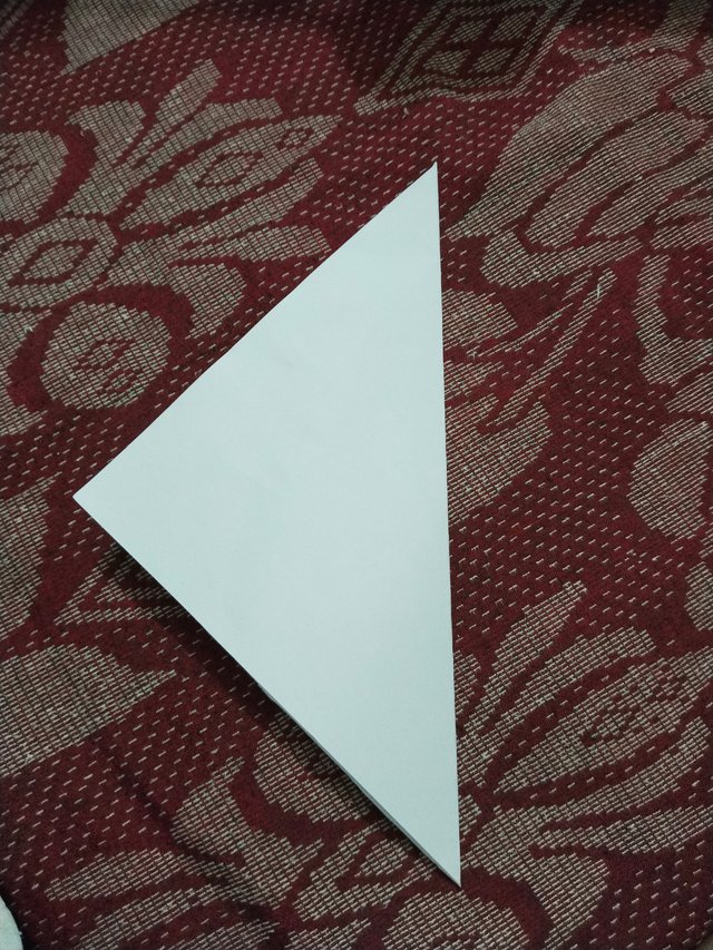 1000014435.jpg