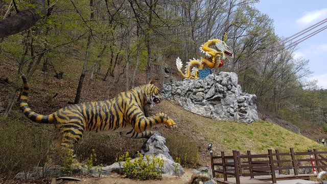 20190420_132149.jpg