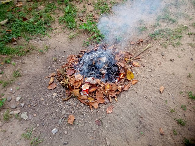 IMG20250903080423.jpg