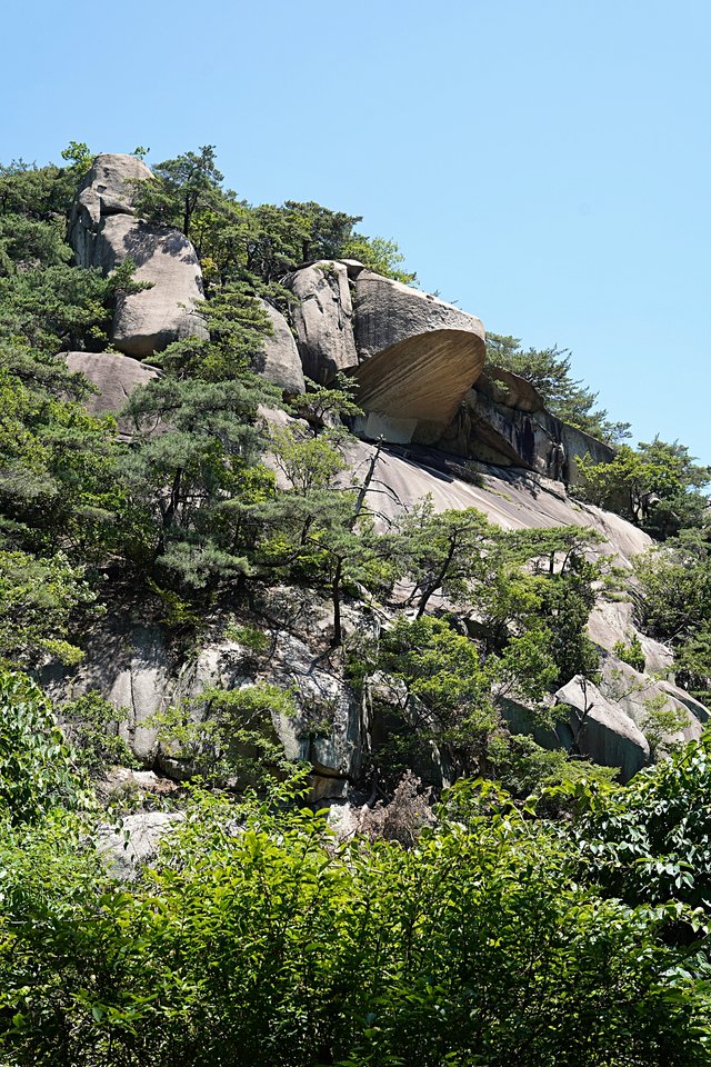 b-DSC09150.JPG
