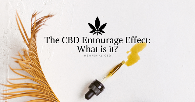 CBD Entourage Effect What is it.png