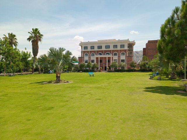 20250717_131624.jpg