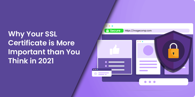 Why Your SSL Certificate is More Important than You Think in 2021.png