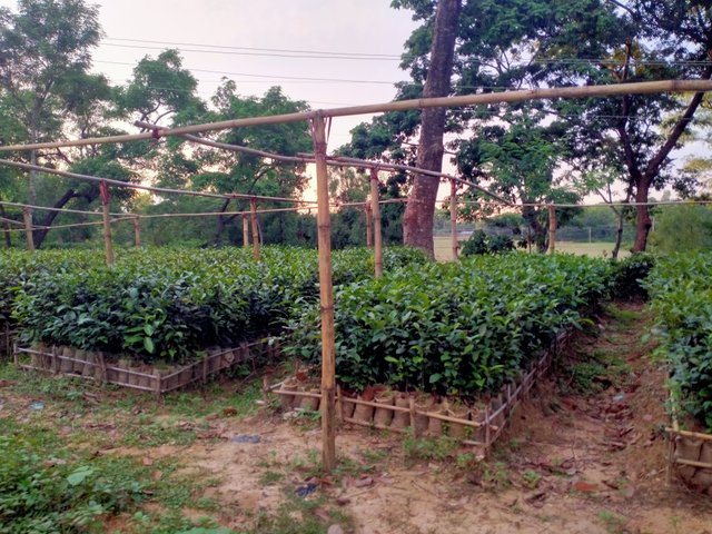 IMG20250701182513.jpg