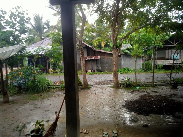 IMG20250807172109.jpg