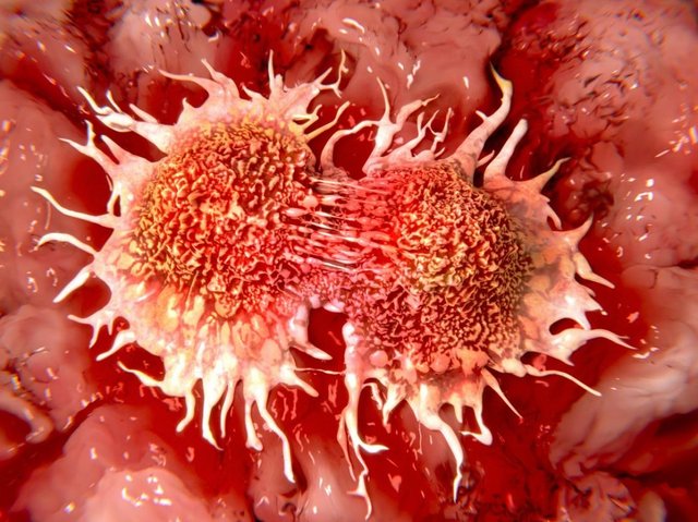 cancer-cells-dividing.jpg