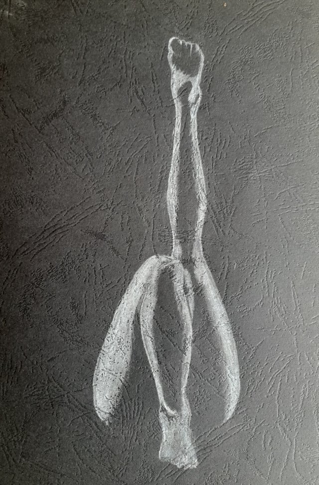 20250429_094645.jpg