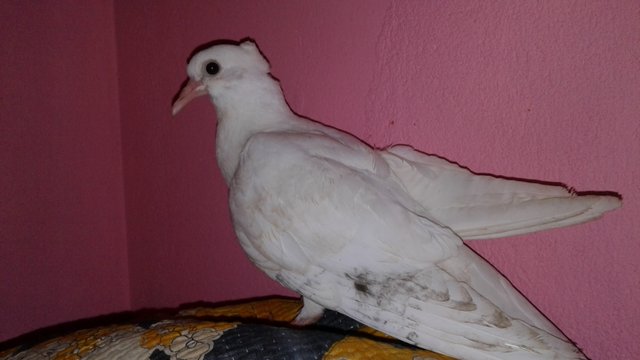 20180903_095158.jpg
