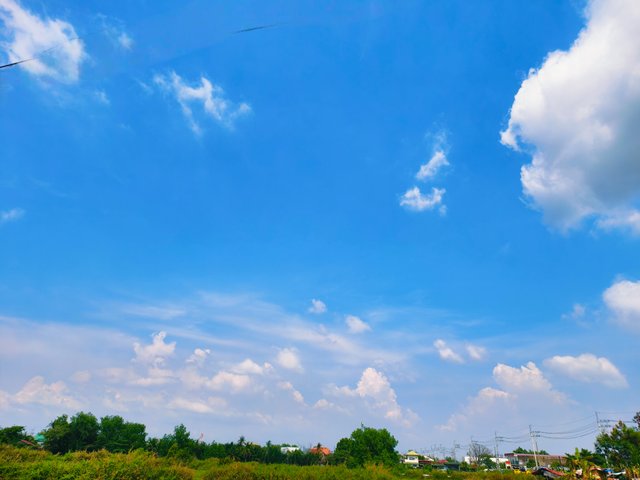IMG_20250510_054148.jpg