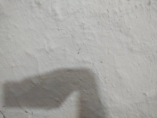 IMG_20250804_220232.jpg