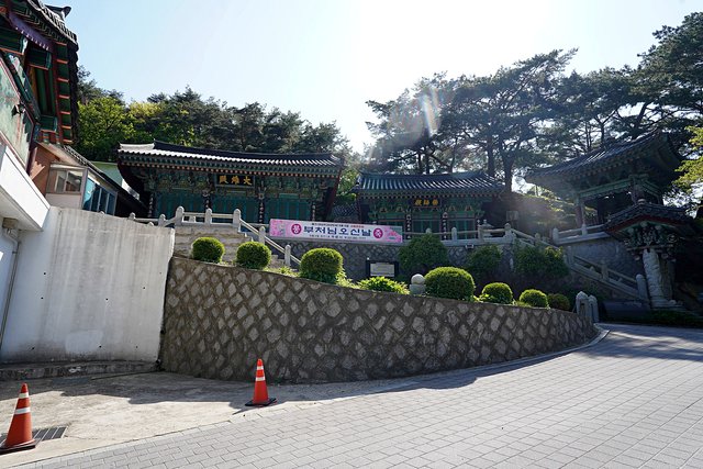 DSC08824.JPG