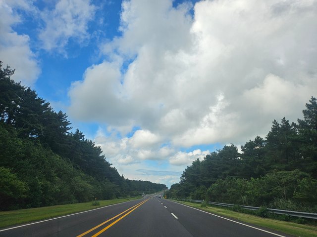 20250912_141430.jpg