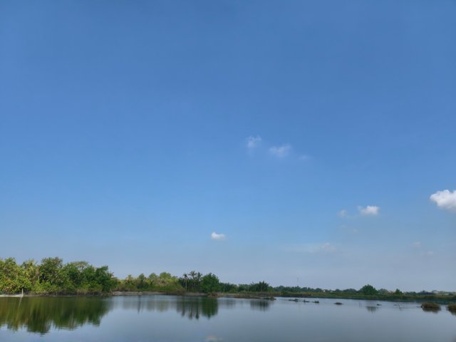 IMG_20250512_083411.jpg