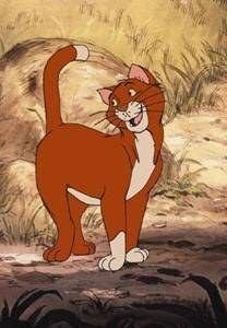 Thomas O'Malley, The Aristocats.jpeg