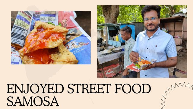 enjoyed street food samosa.jpg