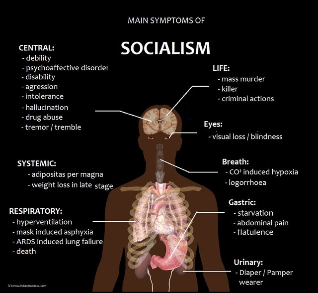 20200922 Symptome des Sozialismus englisch.jpg