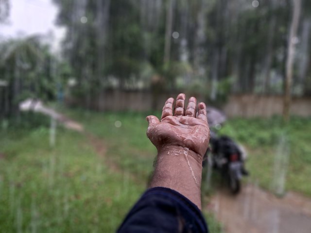 1000040126.jpg