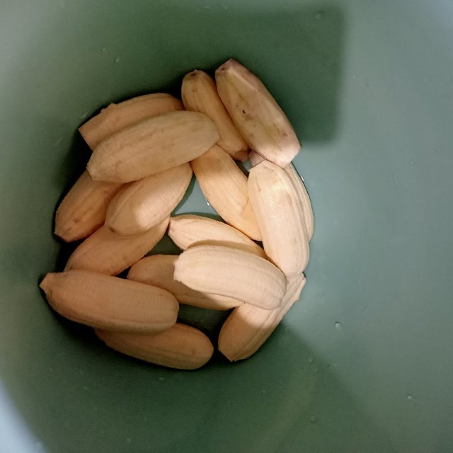 IMG20250728101947.jpg